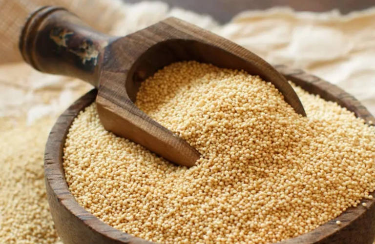 Amaranth in der vegetarischen Ernährung: Superfood, Vorteile und Verwendung