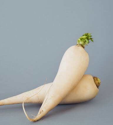 Rettich in der vegetarischen Ernährung: Schärfe, Gesundheit und Verwendung