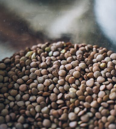 Linsen für Veganer: Proteinreiche Sattmacher