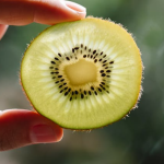 Mango in der vegetarischen Ernährung – Nährstoffe, Vorteile und exotische Rezeptideen