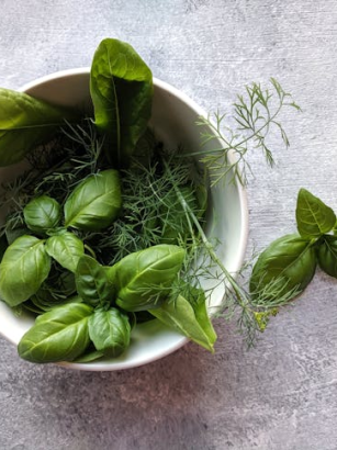 Kräuter in der vegetarischen Ernährung: Petersilie, Basilikum & Co.