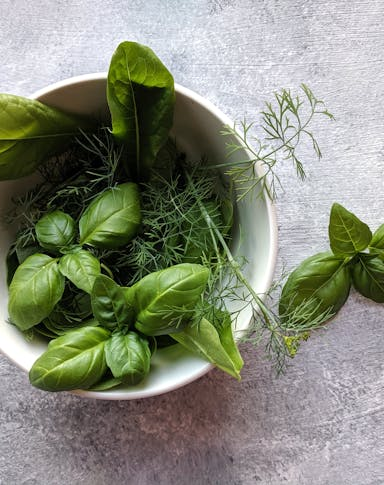 Kräuter in der vegetarischen Ernährung: Petersilie, Basilikum & Co.