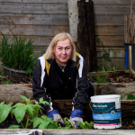 Pflanzliche Ernährung & Fitness: Energie für Körper und Geist