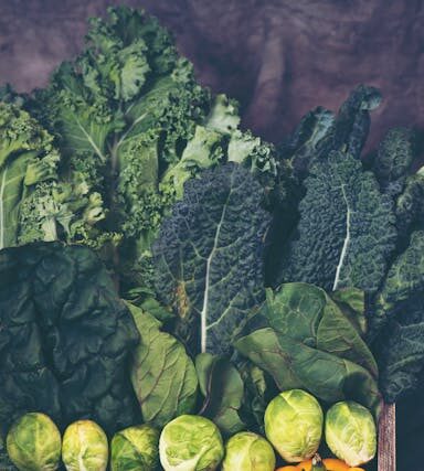 Vitamin K in der veganen Ernährung