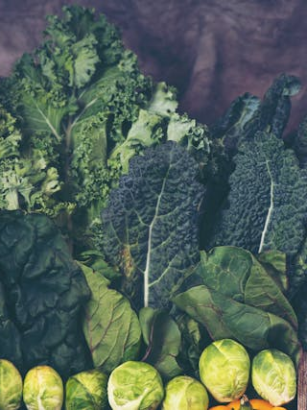 Vitamin B12 und Eisen in der vegetarischen Ernährung: Worauf achten?