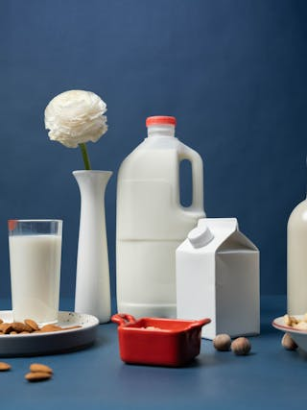 Pflanzenmilch in der vegetarischen Ernährung: Gesunde Alternativen zu Kuhmilch