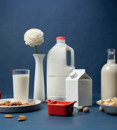 Pflanzenmilch in der vegetarischen Ernährung: Gesunde Alternativen zu Kuhmilch
