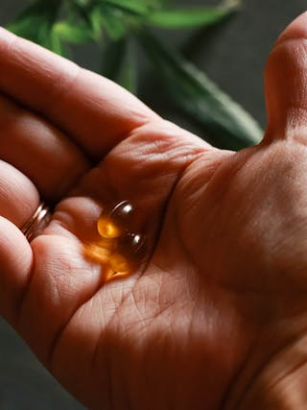 Mythen über vegane Ernährung – was stimmt wirklich?