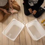 Haushaltsbudget clever planen mit vegetarischer Ernährung