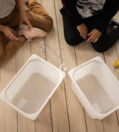 Green Living: So richtest du dein Zuhause nachhaltig ein