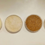 Vegane Käsealternativen: Von Cashew bis Kokosöl