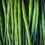 Vegetarische Rezepte mit Gurken