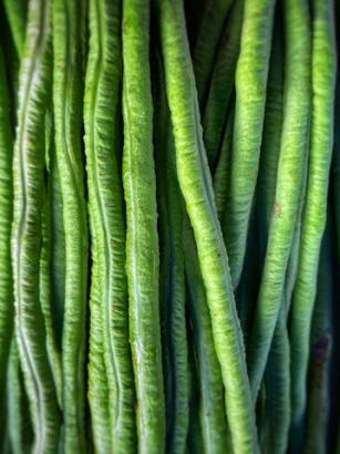Vegetarische Rezepte mit Spargelbohnen