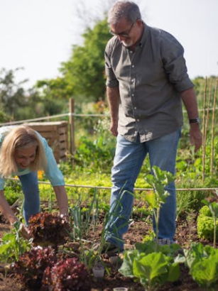 Gemeinschaftsgärten: Zusammen nachhaltig anbauen