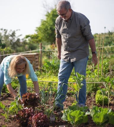 Gemeinschaftsgärten: Zusammen nachhaltig anbauen