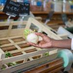 Vegetarische Schwarzwurzeln Rezepte