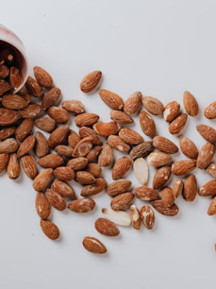 Vegetarische Protein-Snacks für unterwegs