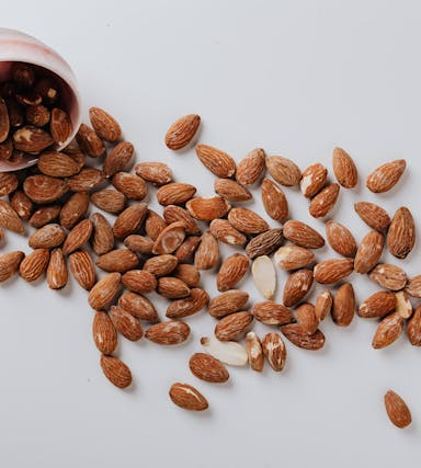 Vegetarische Protein-Snacks für unterwegs