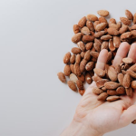 Haselnüsse für Veganer: Traditionelle Nuss mit Power