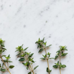 Oregano in der vegetarischen Ernährung: Aroma, gesundheitliche Vorteile und Küchenideen