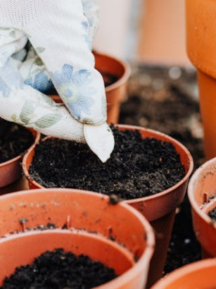 Urban Gardening: Dein eigener Gemüsegarten auf kleinstem Raum