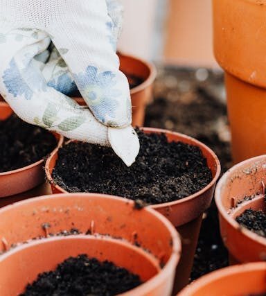 Urban Gardening: Dein eigener Gemüsegarten auf kleinstem Raum