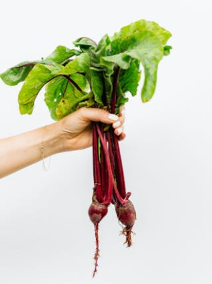 Green Living: Nachhaltige Routinen im Alltag