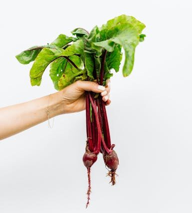 Green Living: Nachhaltige Routinen im Alltag