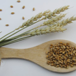 Mungbohnen in der vegetarischen Ernährung