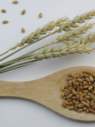 Hirse in der vegetarischen Ernährung: Das glutenfreie Mineralstoffwunder