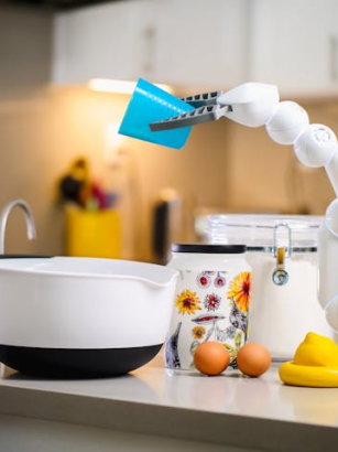 Vegetarisch essen in der Zukunft: Visionen für 2050