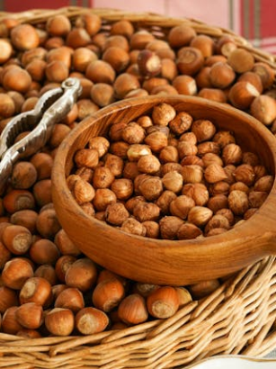 Haselnüsse für Veganer: Traditionelle Nuss mit Power