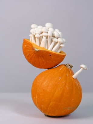 Herbstliche Rezepte mit Pilzen und Kürbis