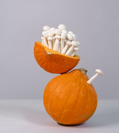 Herbstliche Rezepte mit Pilzen und Kürbis