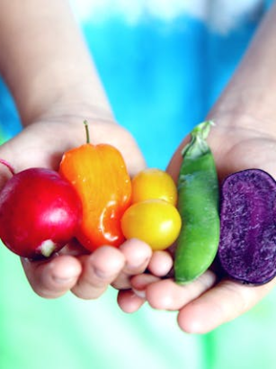 Unverzichtbare Gemüsesorten für die vegetarische Ernährung