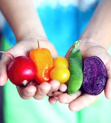 Unverzichtbare Gemüsesorten für die vegetarische Ernährung
