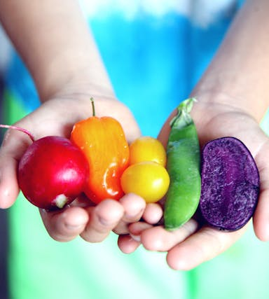 Wie vegetarische Ernährung die Darmflora positiv beeinflusst
