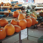 Nachhaltig einkaufen: Checkliste für Vegetarier