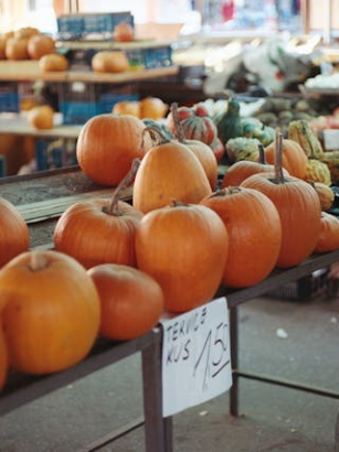 Regional vs. importiert: Worauf Vegetarier achten sollten