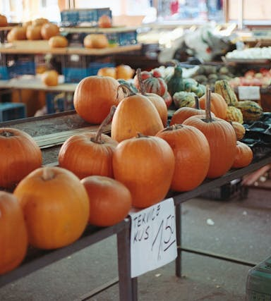 Regional vs. importiert: Worauf Vegetarier achten sollten
