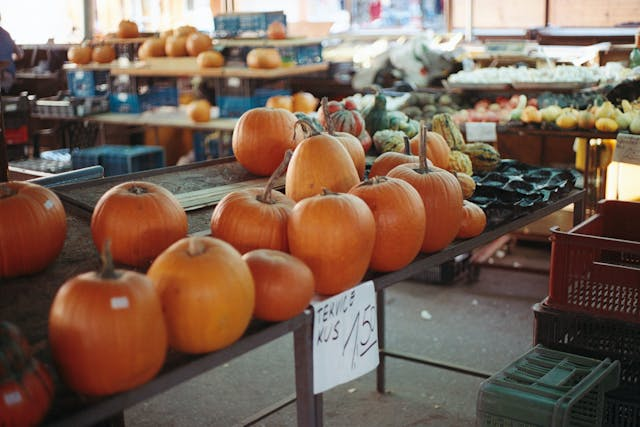Regional vs. importiert: Worauf Vegetarier achten sollten