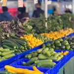 Vegetarisch unterwegs in Europa: Die besten Städte für Genießer