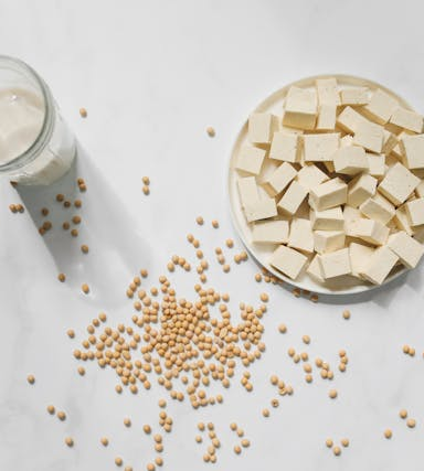 Pflanzliche Proteinquellen: So deckst du deinen Bedarf