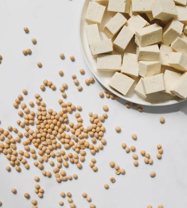 Sojaprodukte in der vegetarischen Ernährung: Vielfalt aus der Bohne