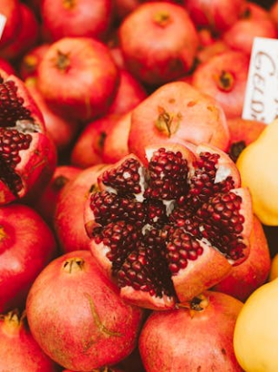 Vegetarisch und saisonal: Kochen im Rhythmus der Natur