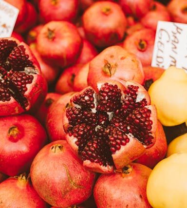 Vegetarisch und saisonal: Kochen im Rhythmus der Natur