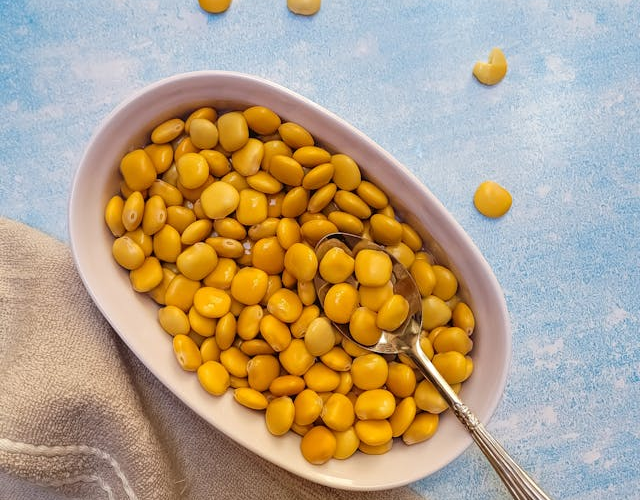 Lupinen in der vegetarischen Ernährung: Eiweißquelle, Vorteile und Verwendung