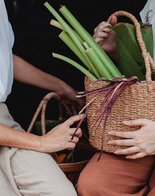 Vegetarisch und nachhaltig: Wie dein Essen die Umwelt schützt