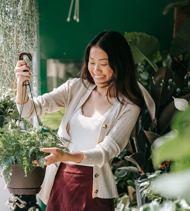 Urban Gardening: Eigenes Gemüse auf dem Balkon