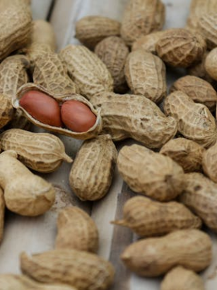 Vegetarische Ernährung und Lebensmittelallergien: Tipps für Familien